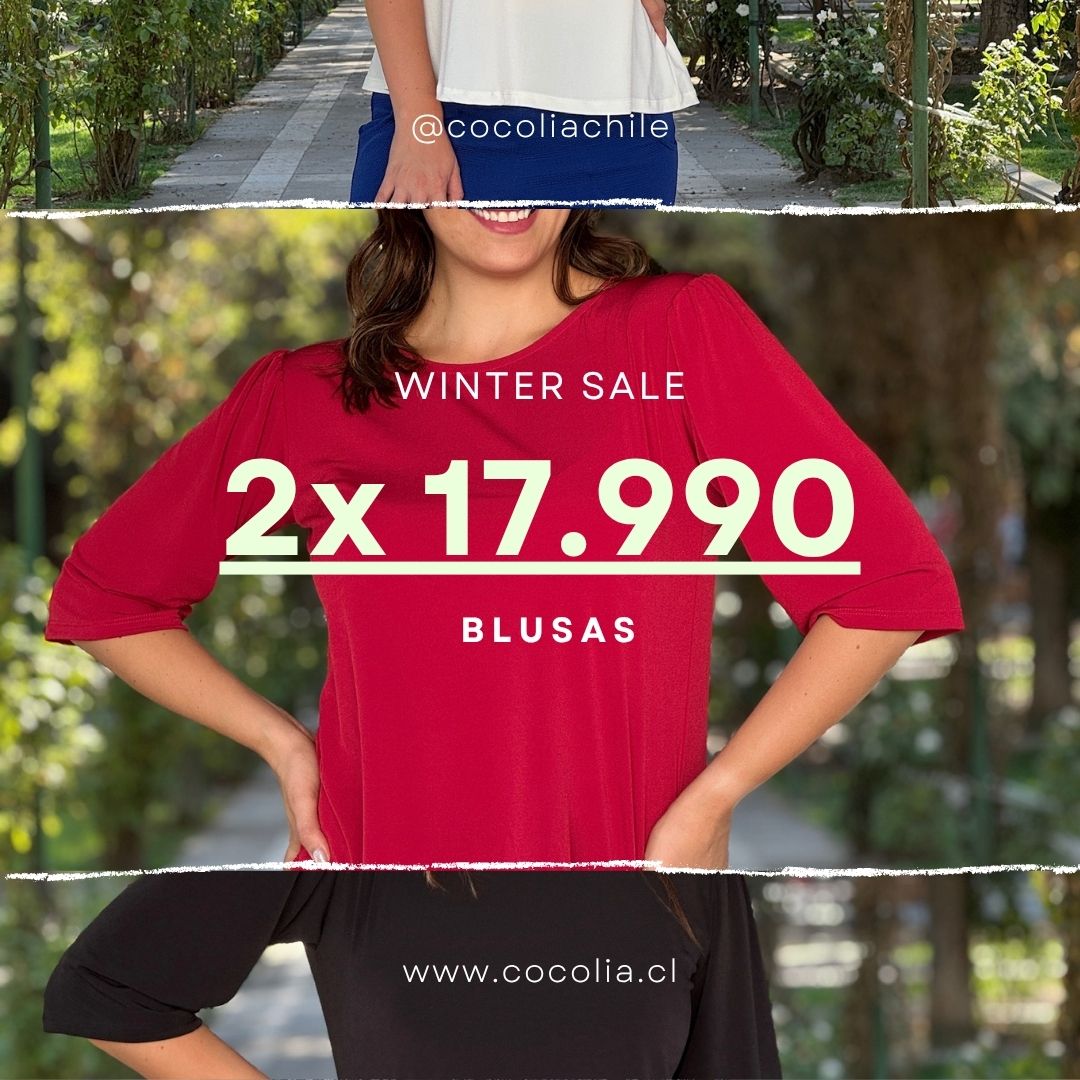 Blusas 2X 17.990