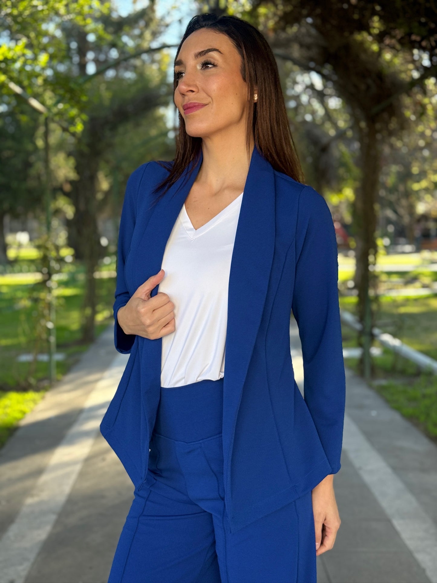 Blazer Luis Miguel